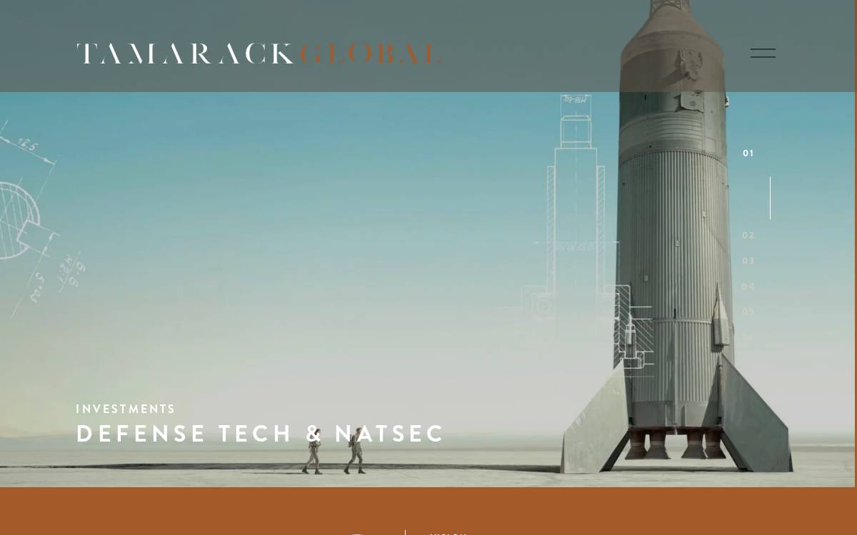 Tamarack Global website preview
