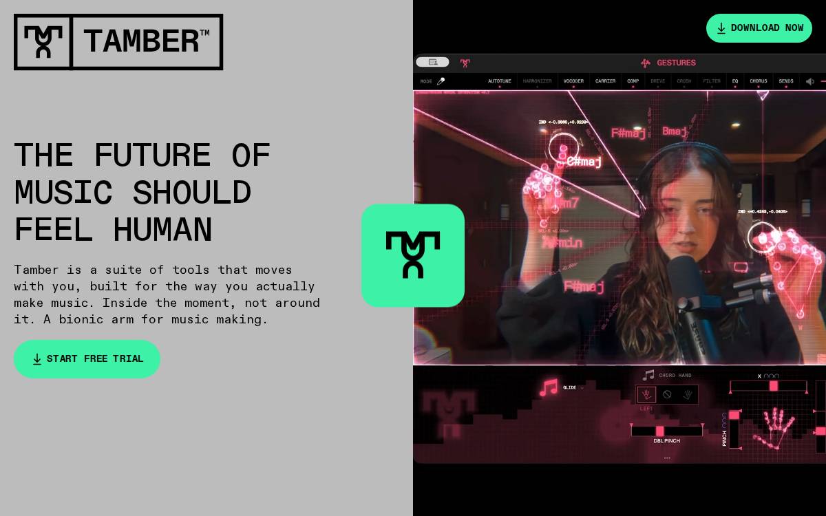 Tamber website preview