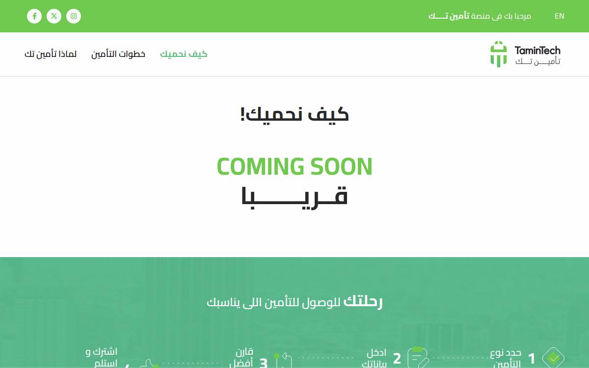 Tamintech website preview
