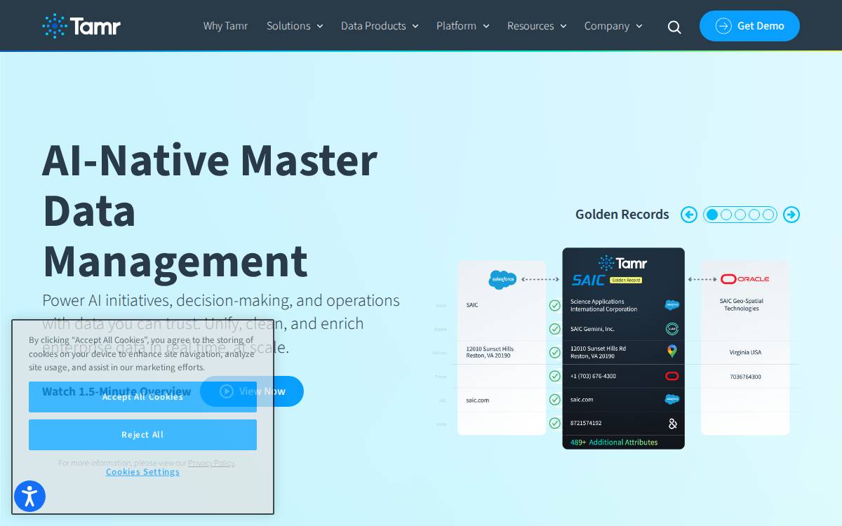 Tamr website preview