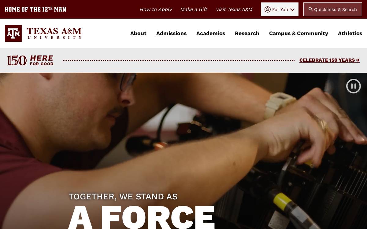 Tamu website preview