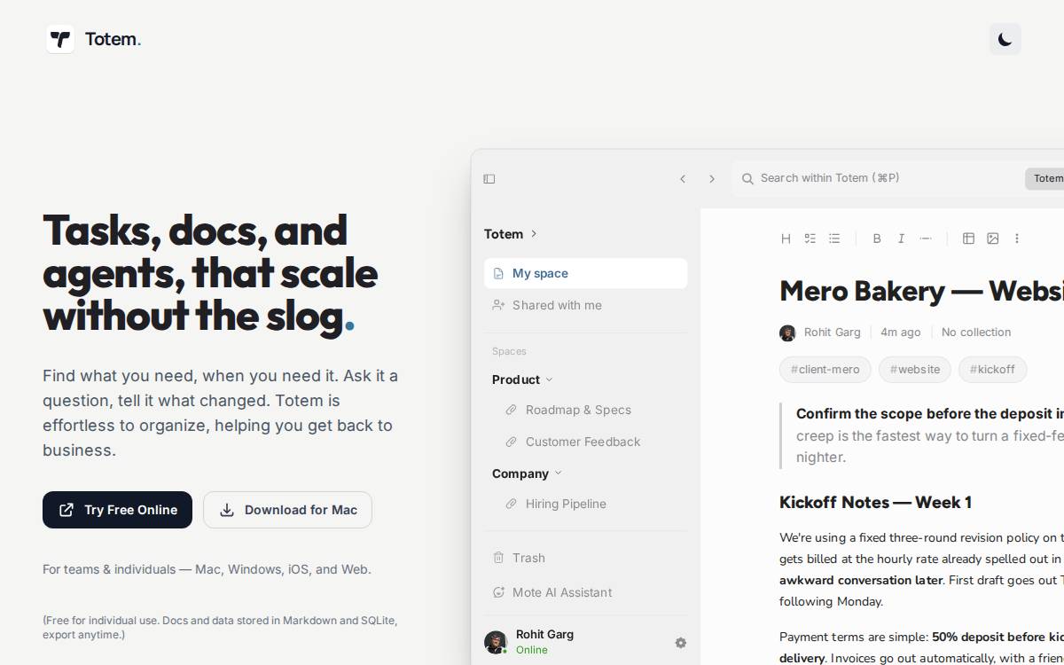 Tandem website preview