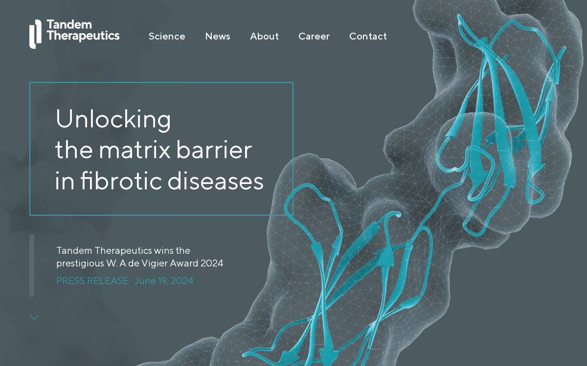 Tandem Tx website preview