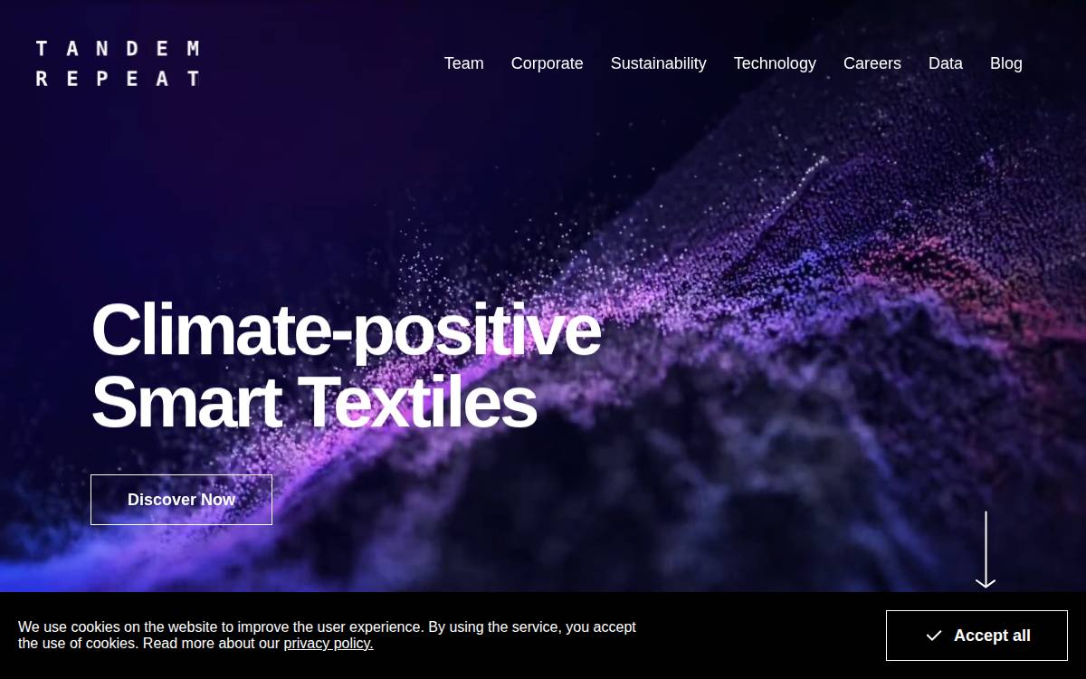 Tandemrepeat website preview