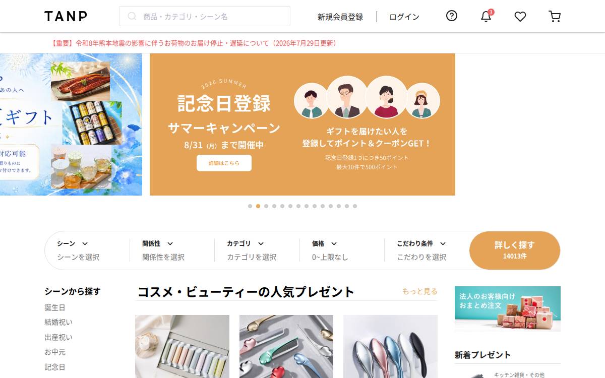 TANP Inc. website preview