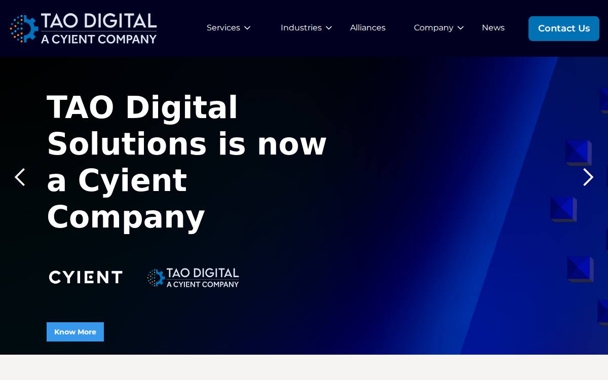 TAO Digital website preview