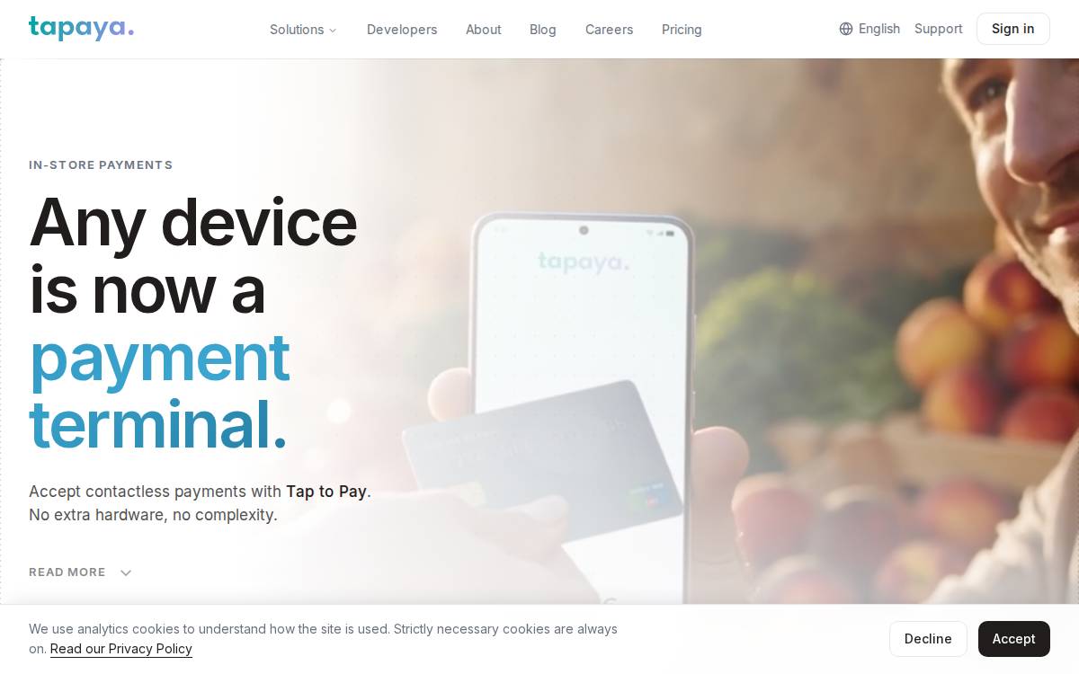 Tapaya website preview