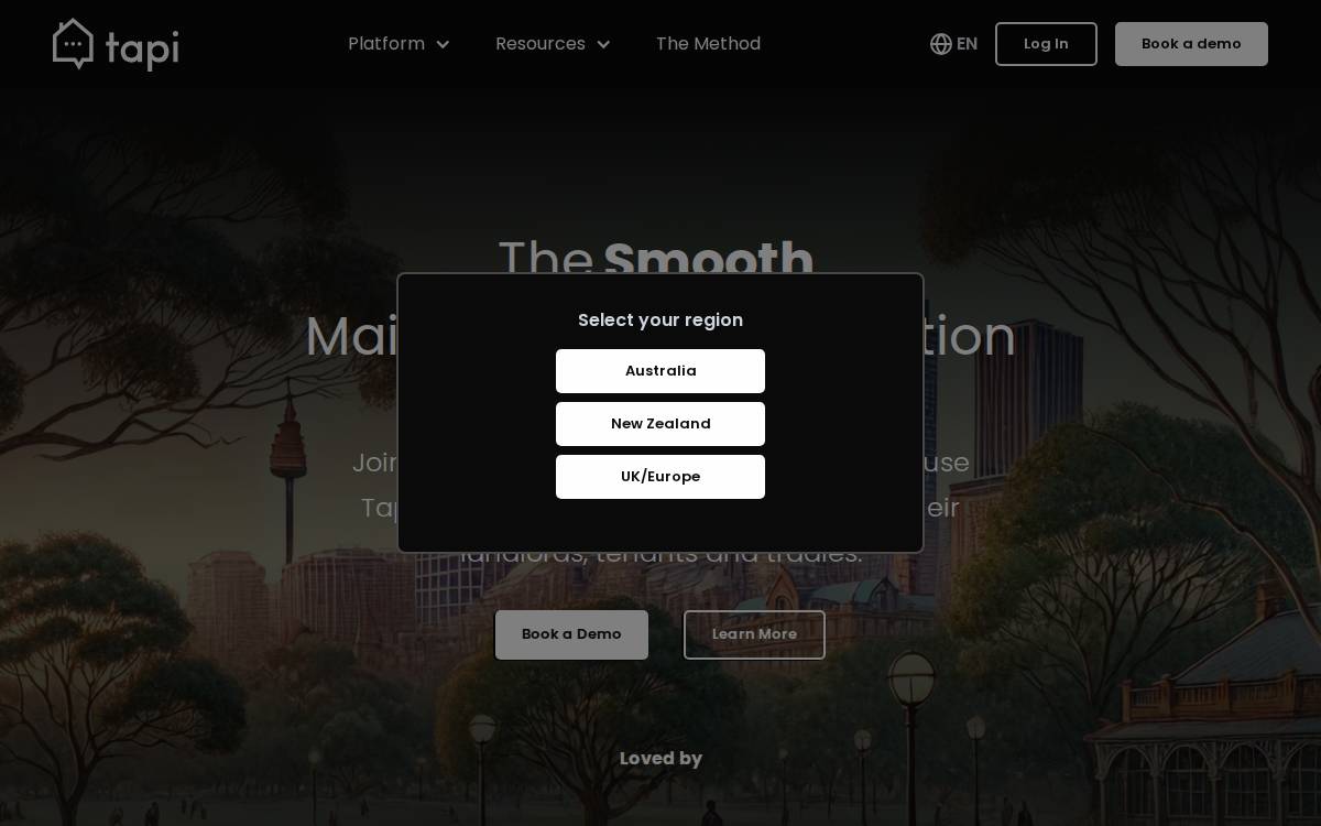 Tapi website preview