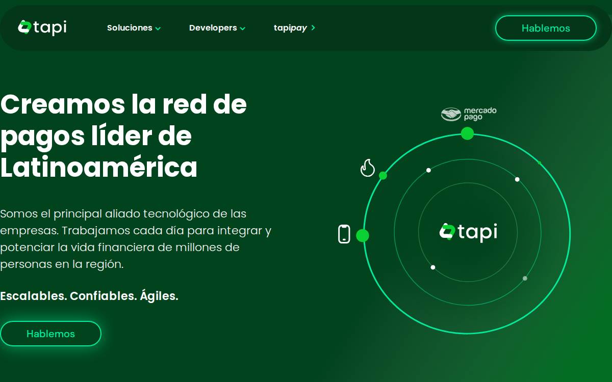 Tapi website preview