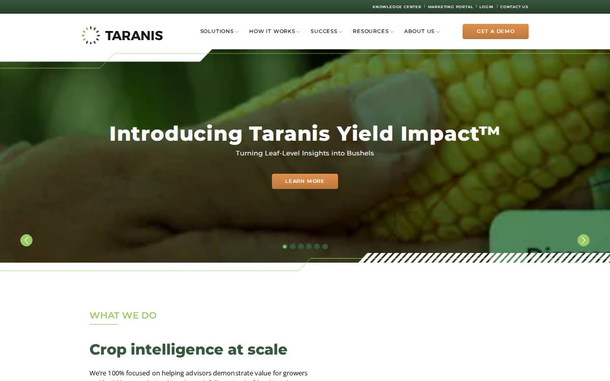 Taranis website preview