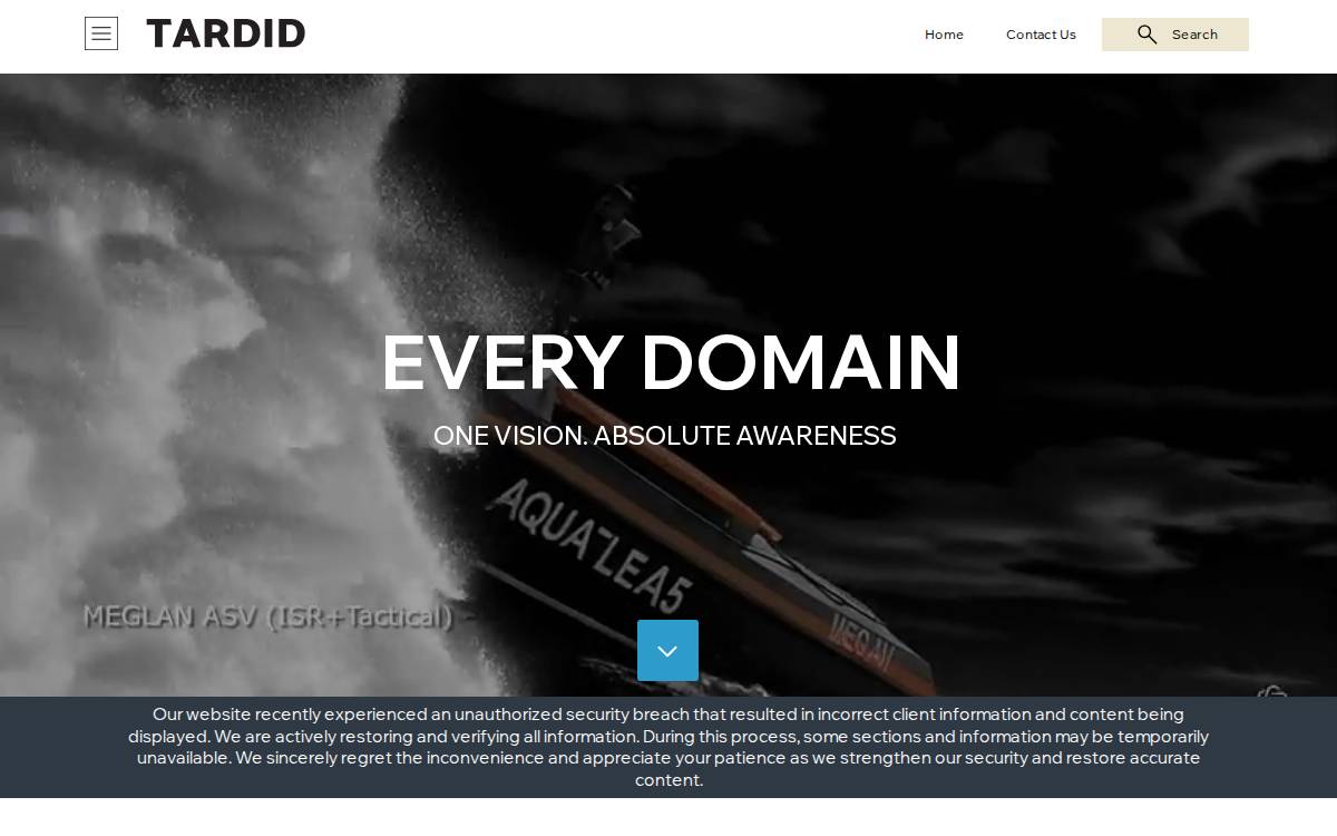 Tardid website preview