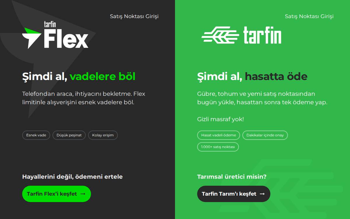 Tarfin website preview
