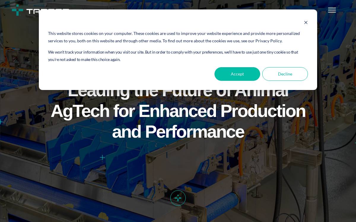 Targan website preview