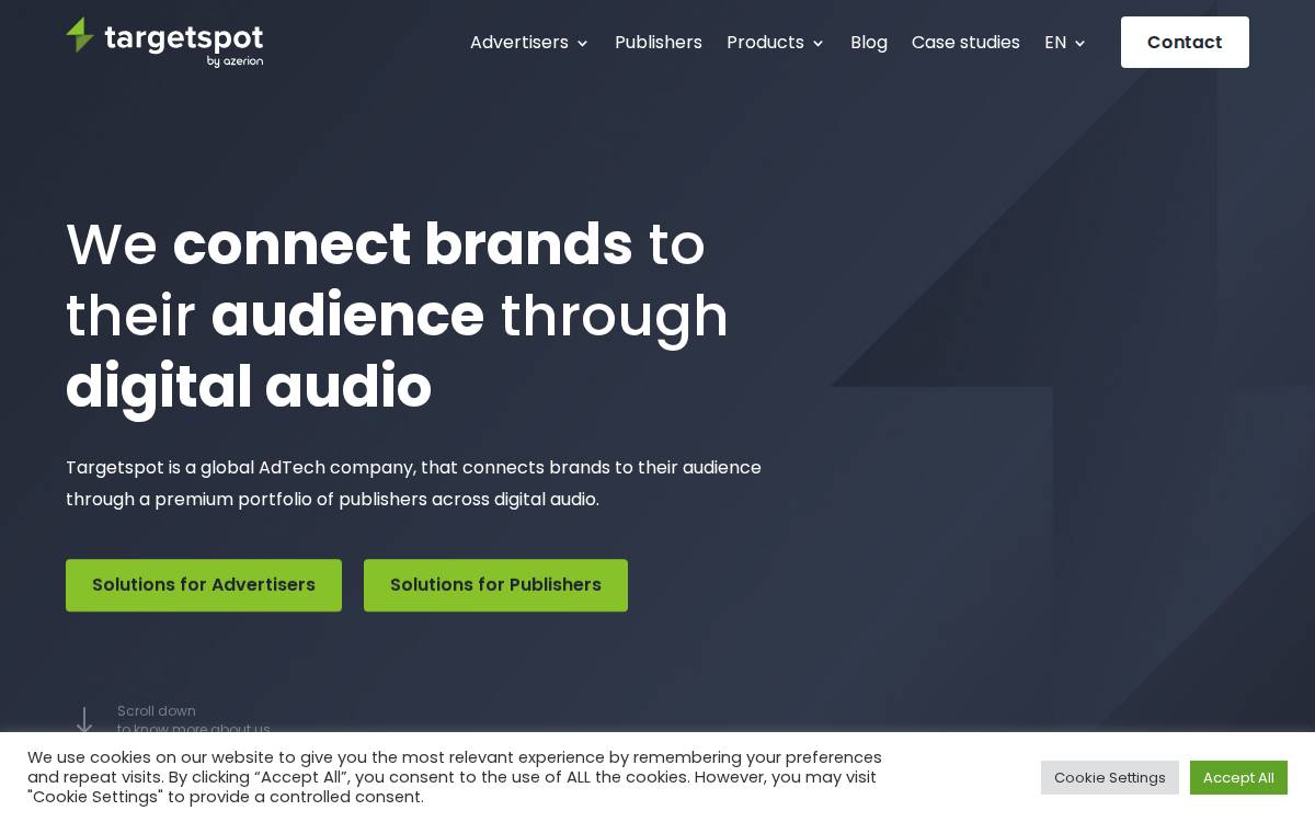 Targetspot website preview