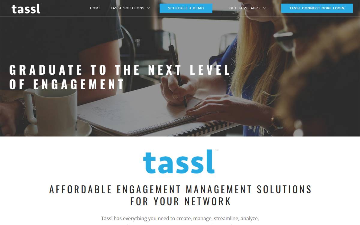 Tassl website preview