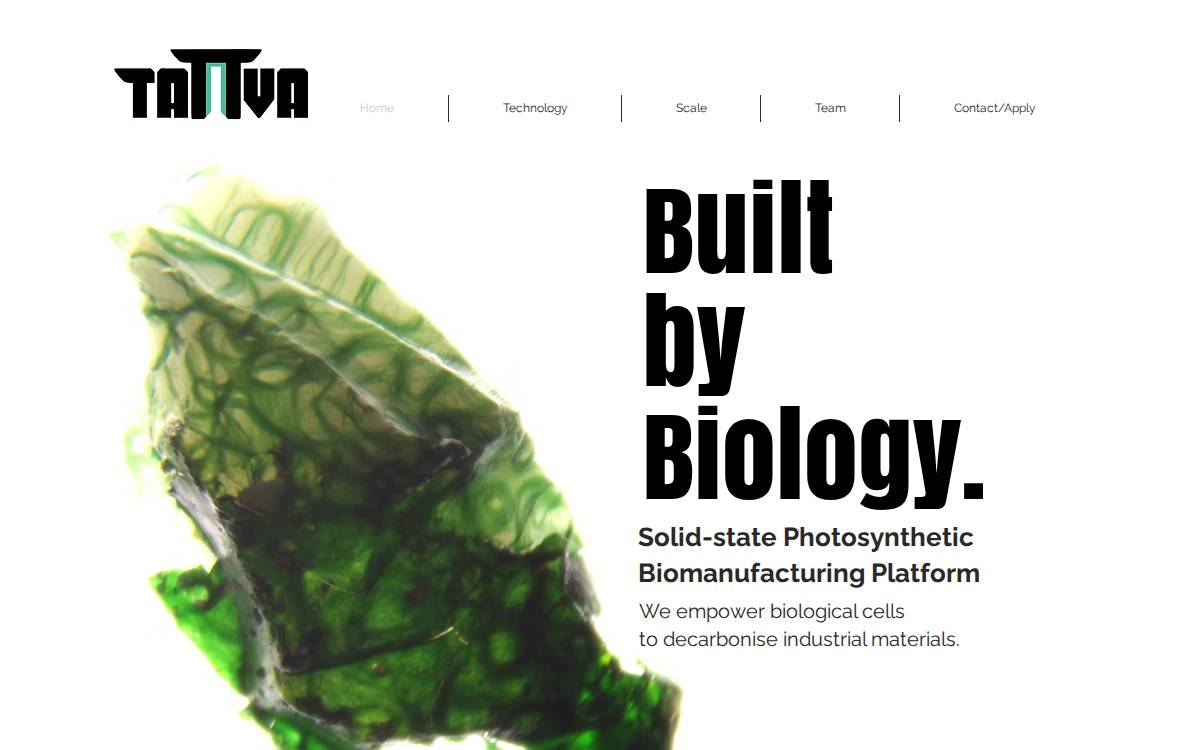 Tattva website preview