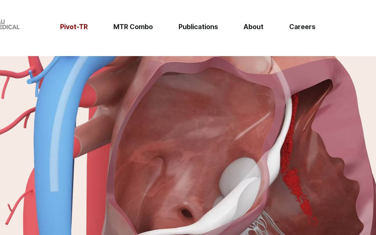 Tau Pnu.Co website preview
