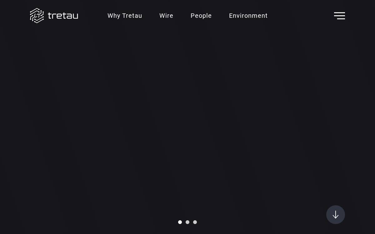 Tau website preview