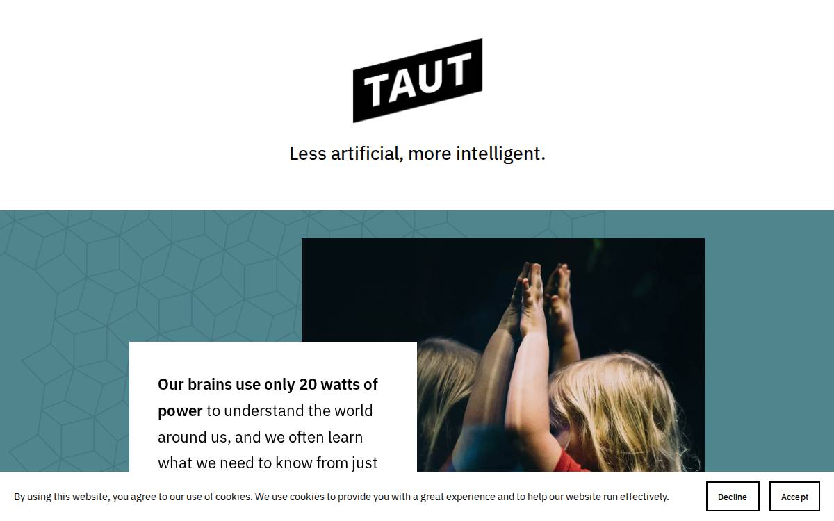 Taut website preview