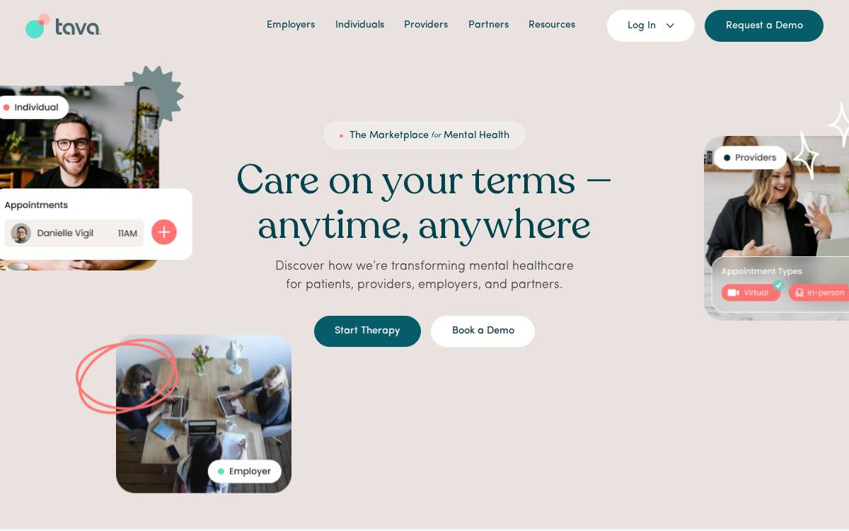 Tava website preview