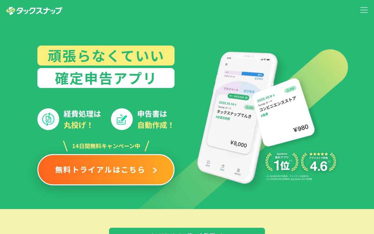 TaxNap website preview