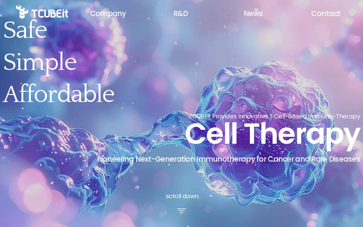 Tcubeit website preview