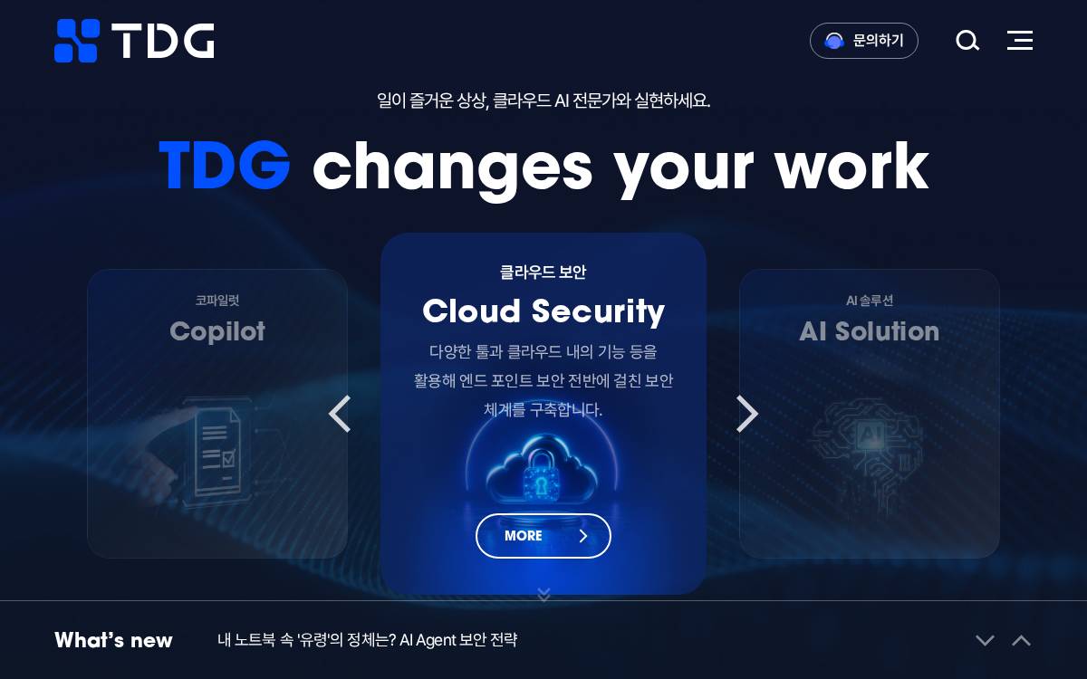 Tdgl website preview