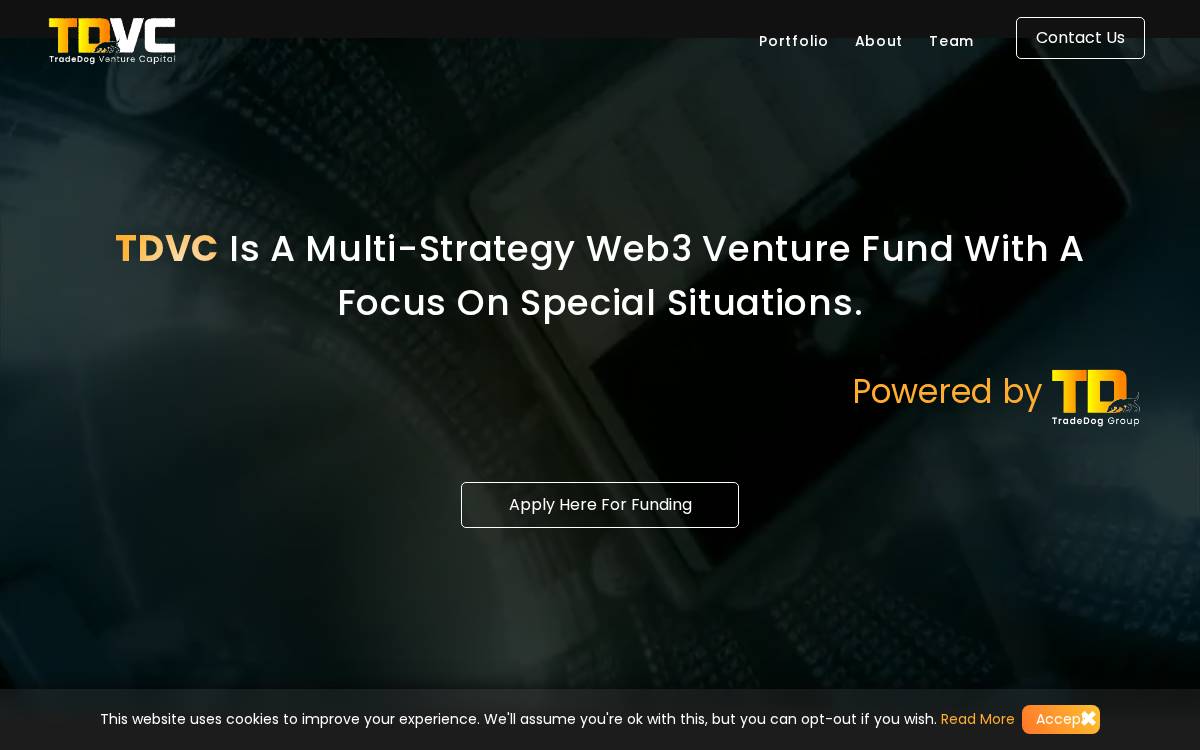 TDVC website preview
