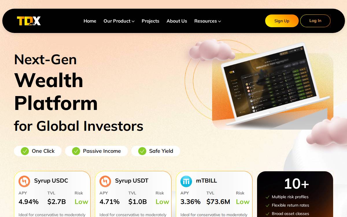 TDX website preview