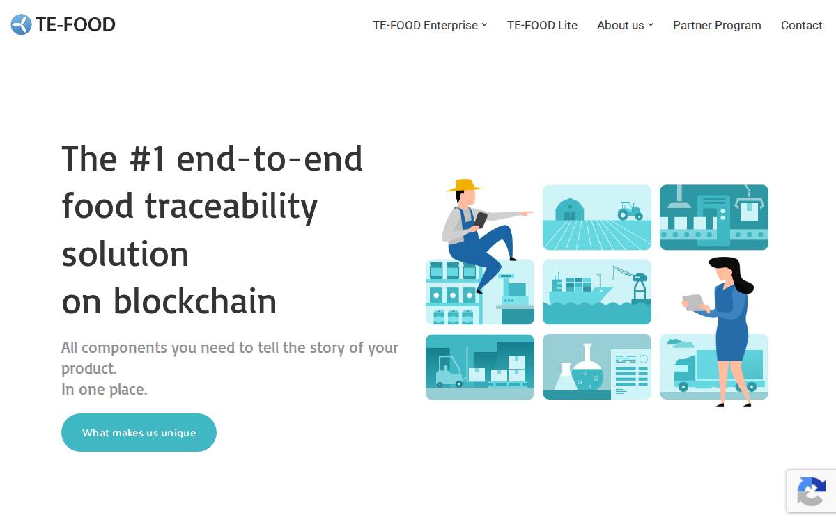 Te Food website preview