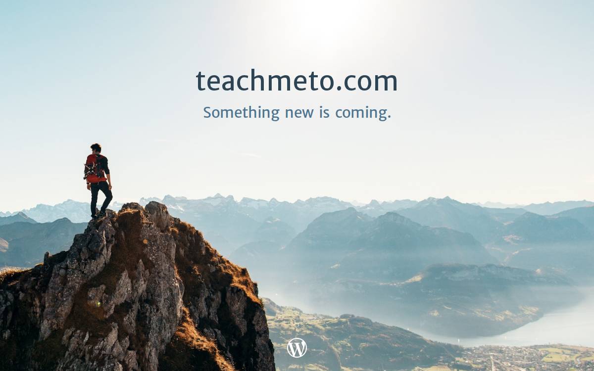 Teach Me To website preview