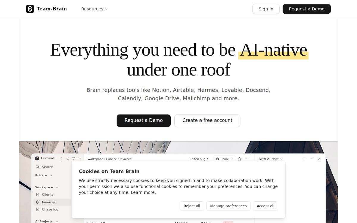 Team Brain website preview