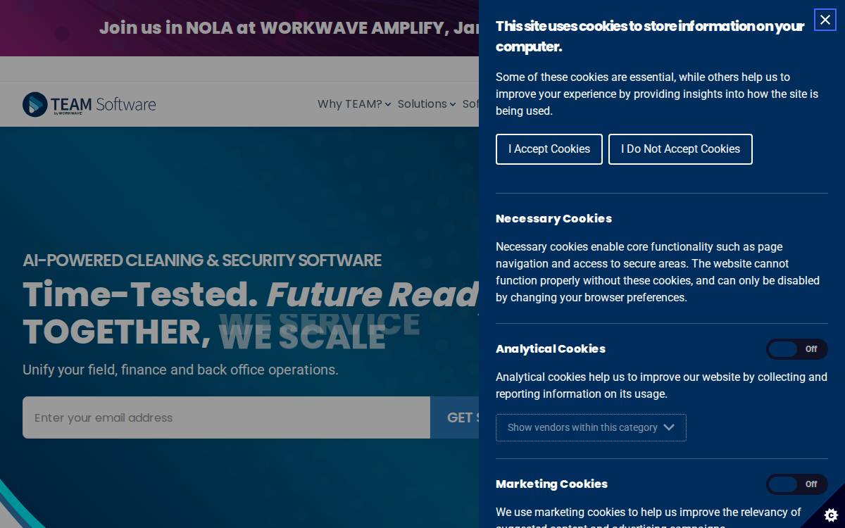 TEAM Software website preview