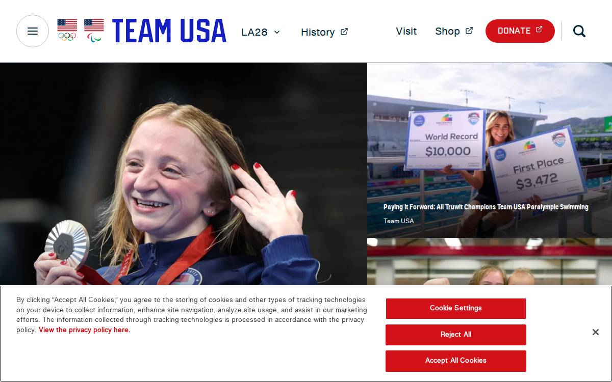 Team website preview
