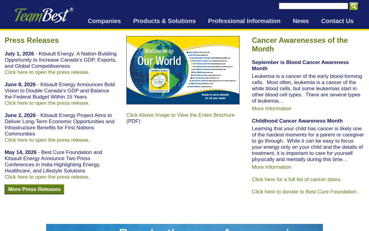Teambest website preview