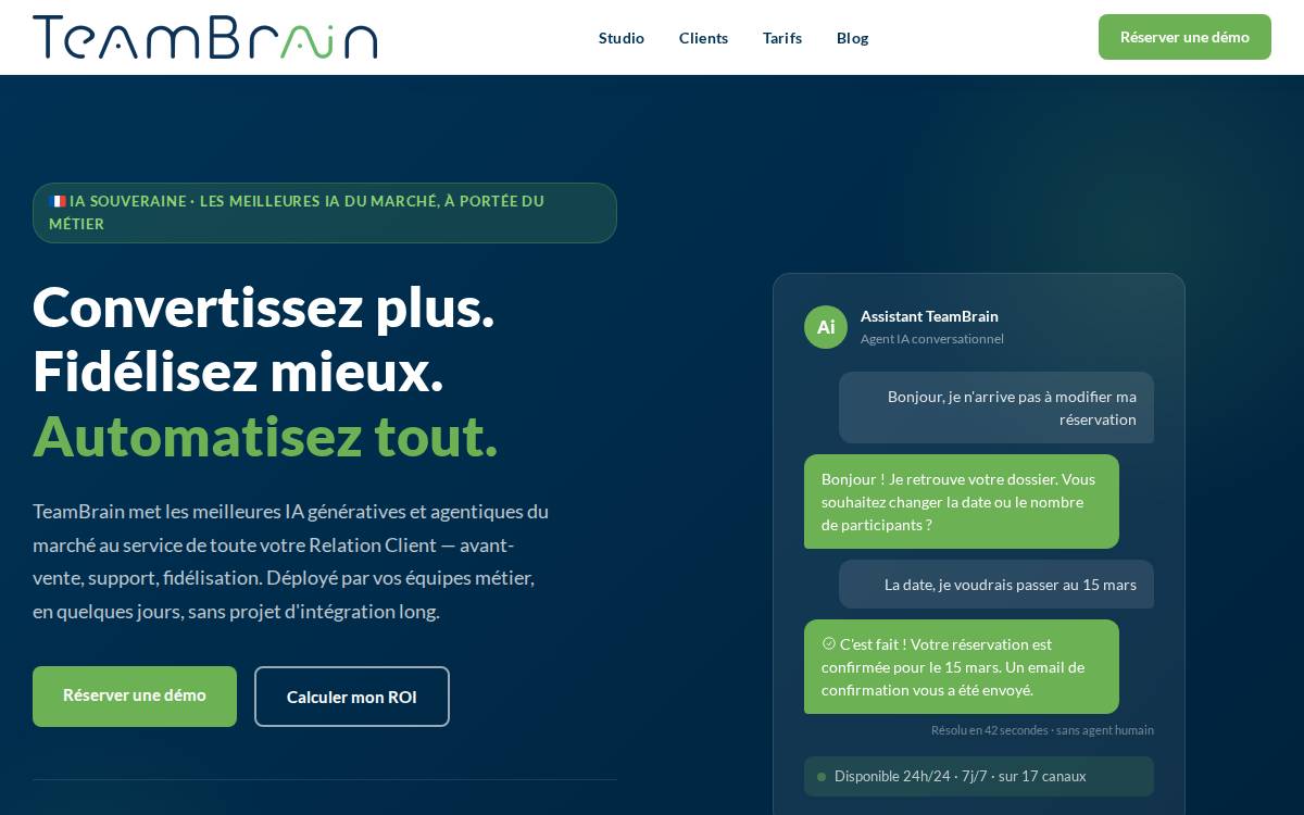 TeamBrain website preview