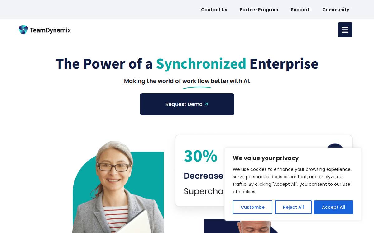 TeamDynamix website preview