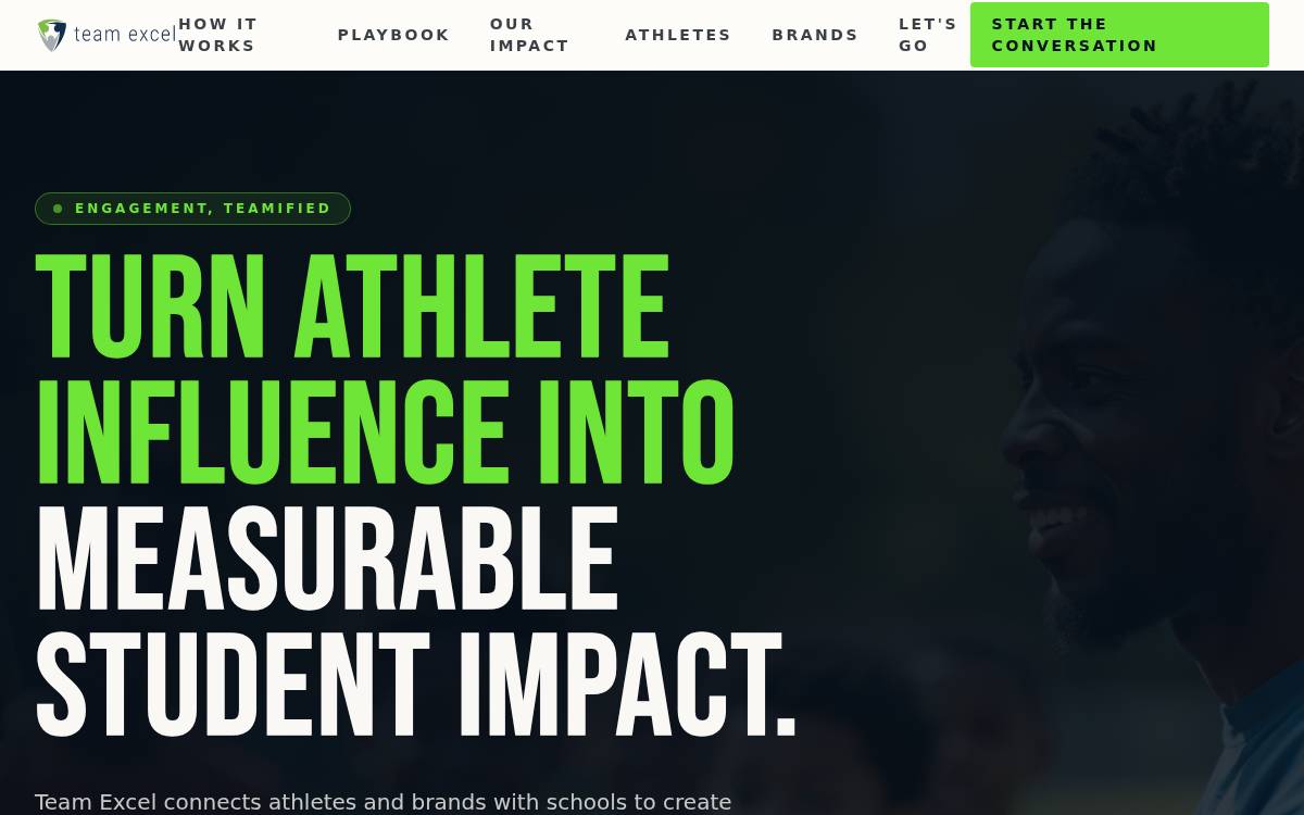 Teamexcel website preview