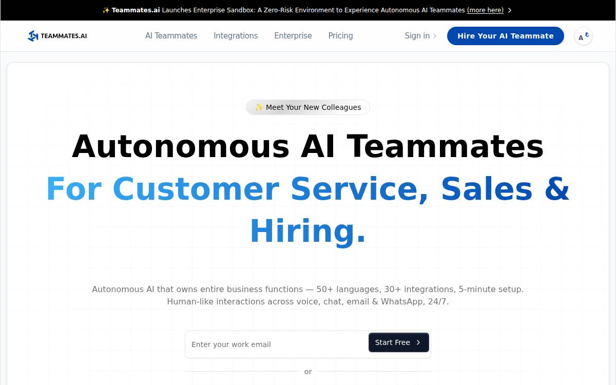 Teammates website preview