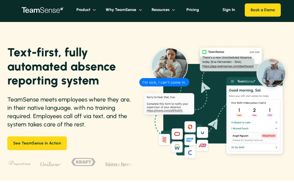 TeamSense website preview