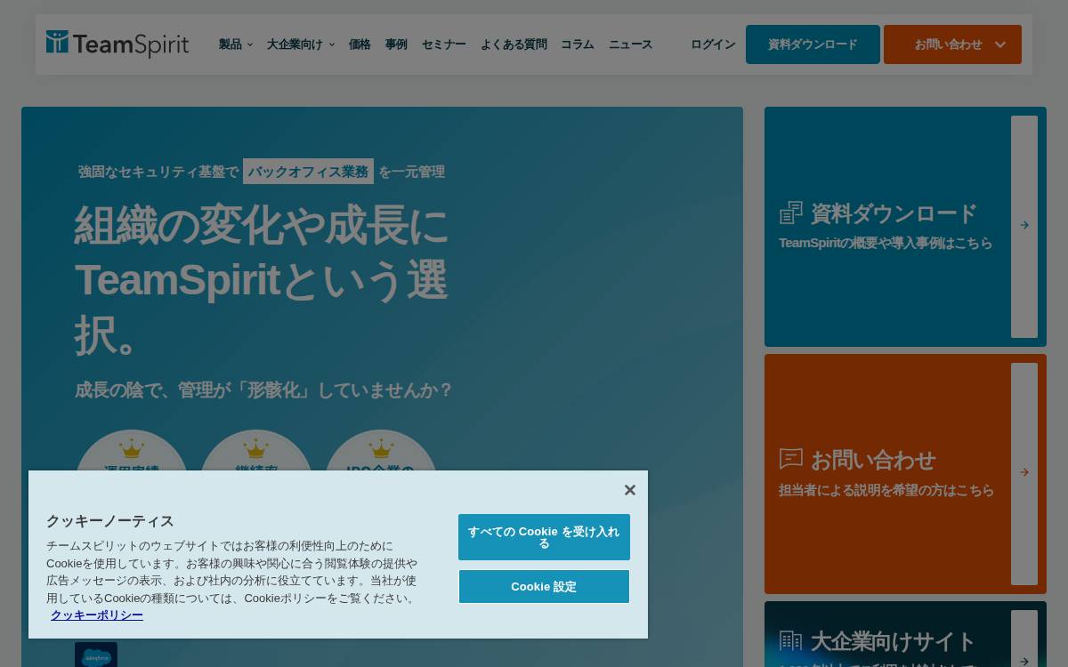 TeamSpirit website preview