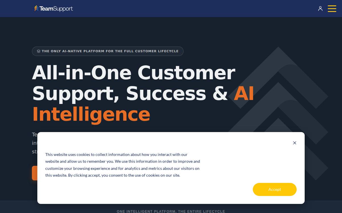 TeamSupport website preview