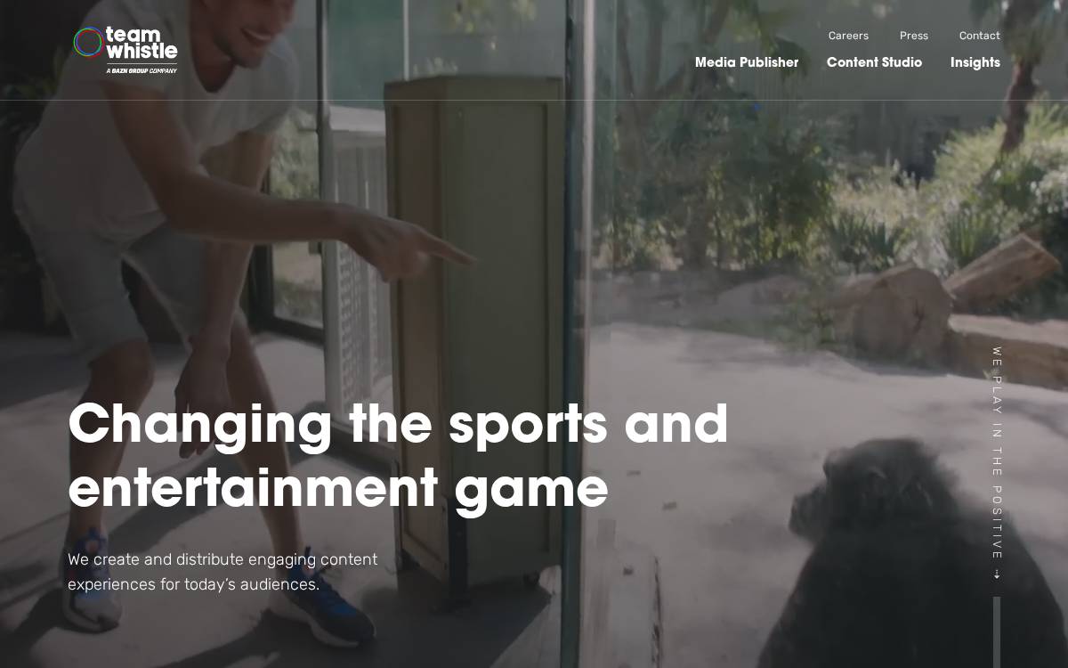Team Whistle website preview