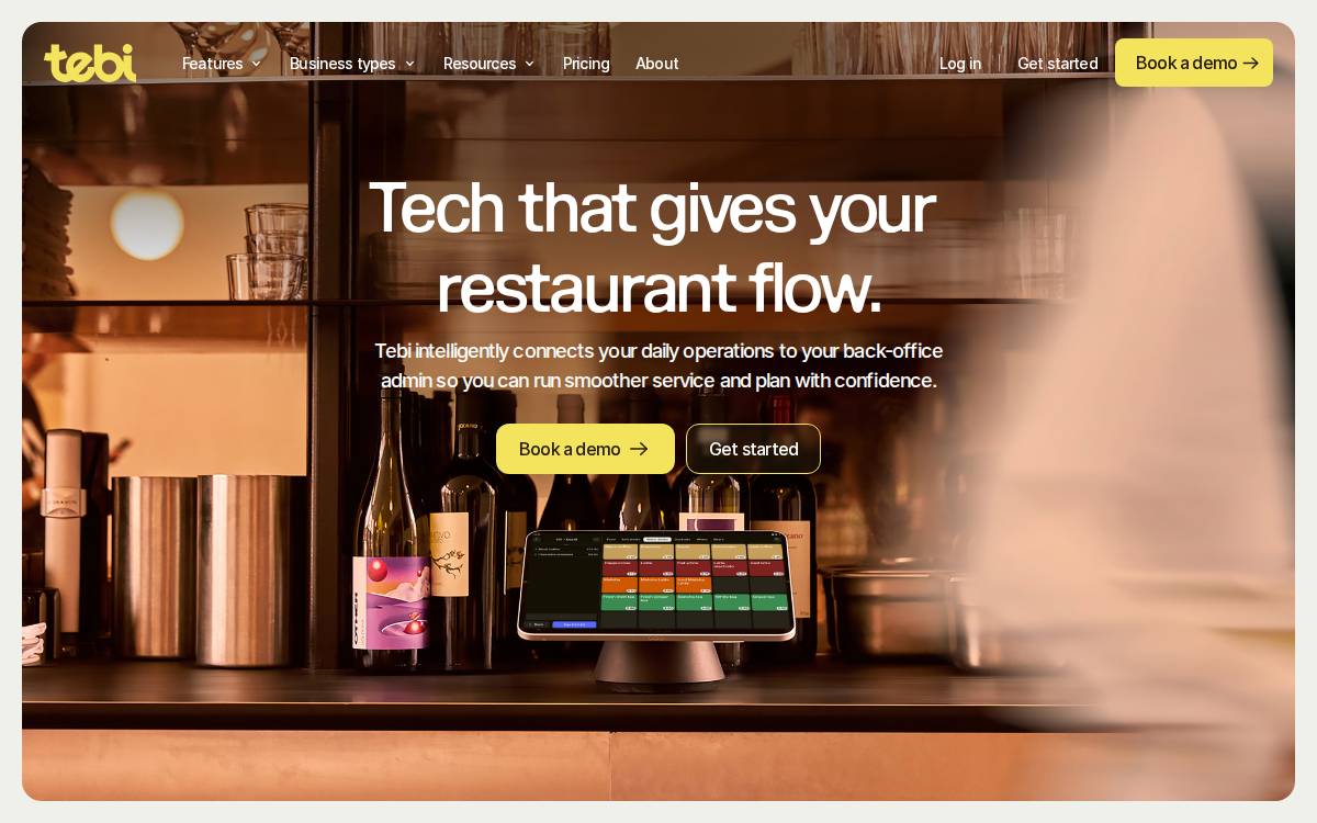 Tebi website preview