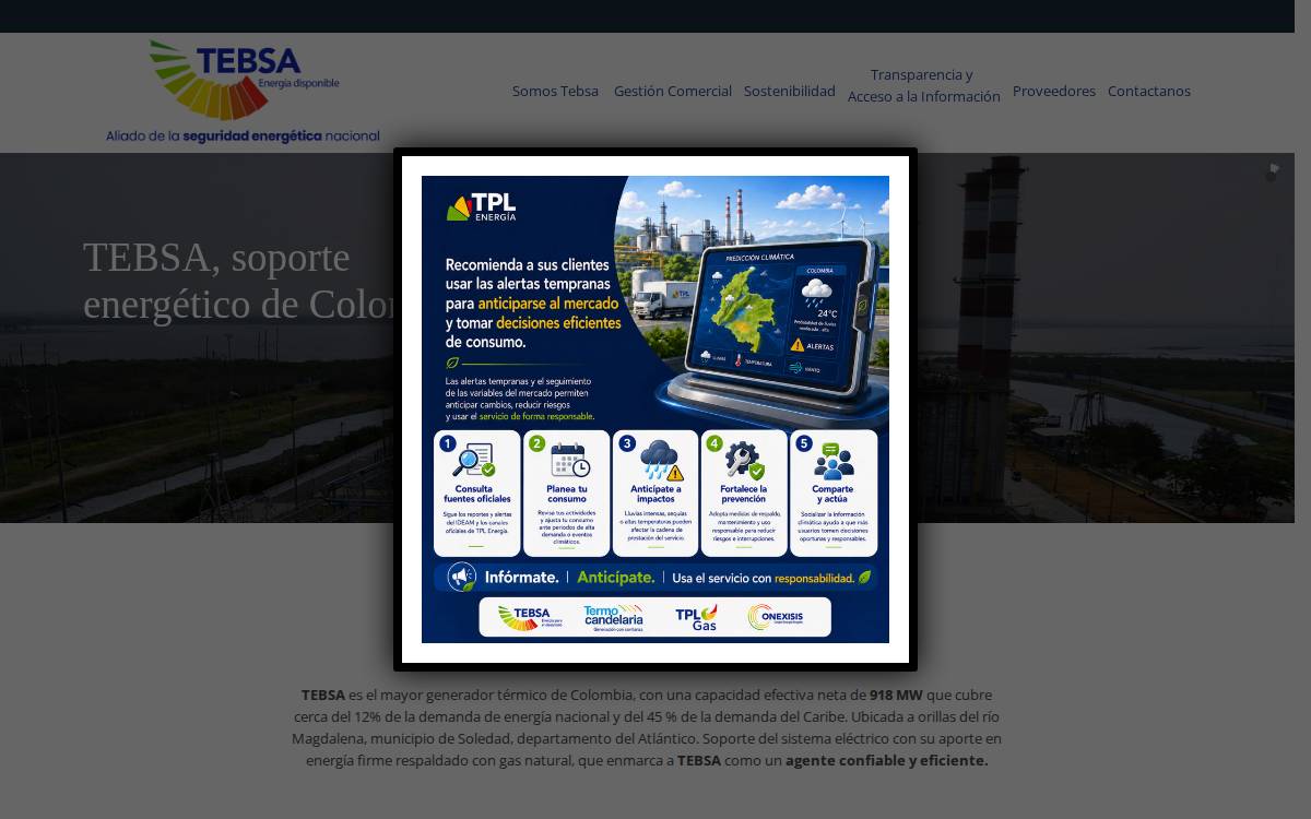 TEBSA website preview