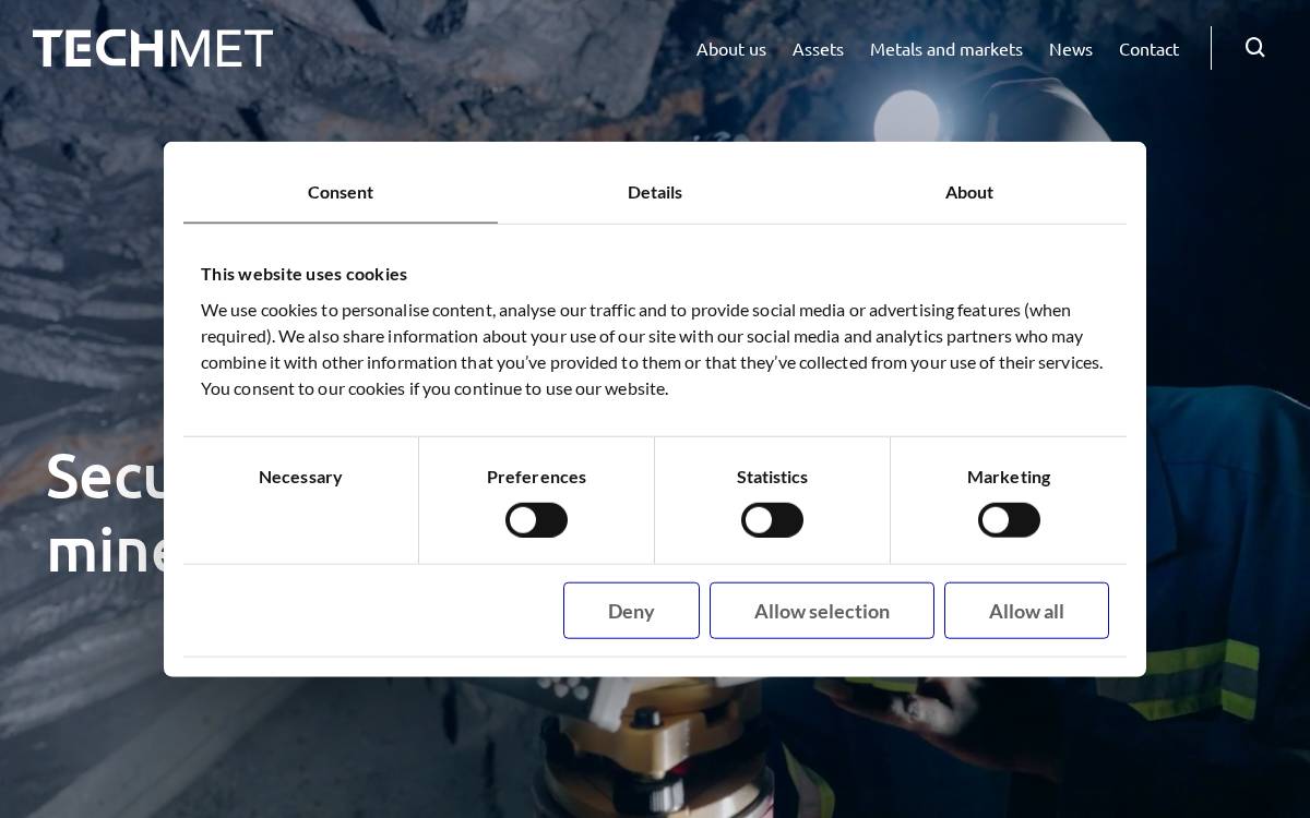 Techmet website preview