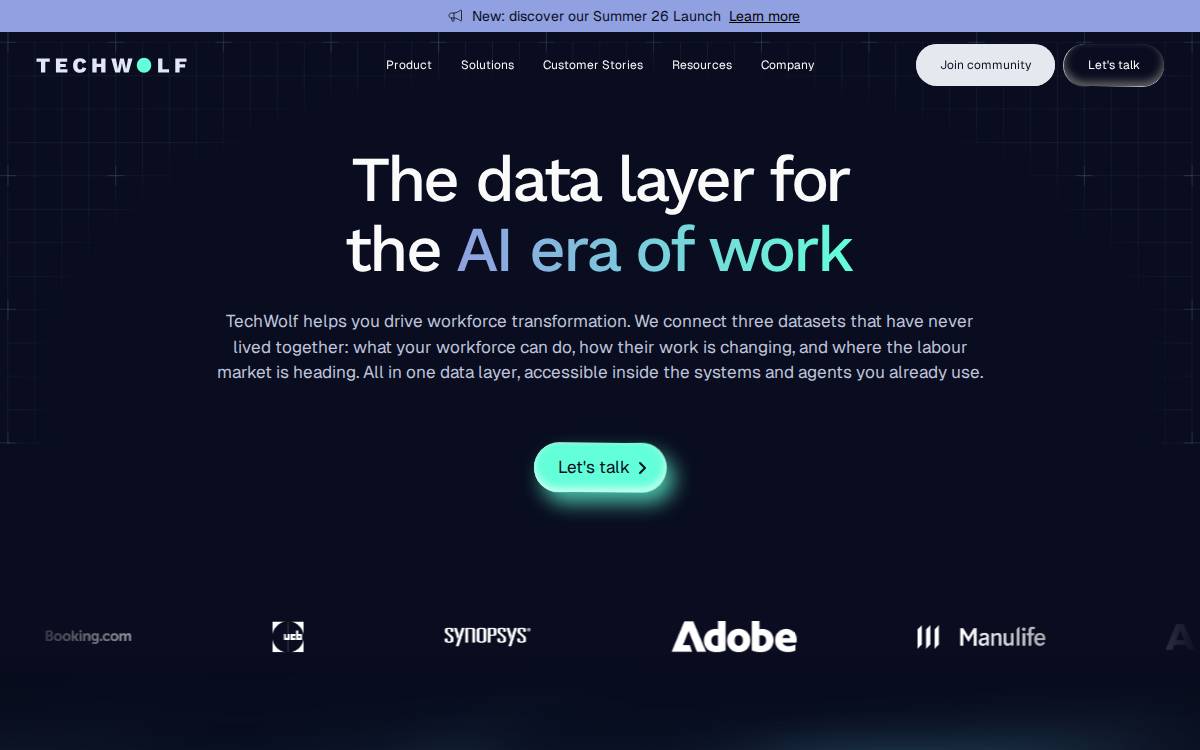 Techwolf Skills intelligence platform website preview