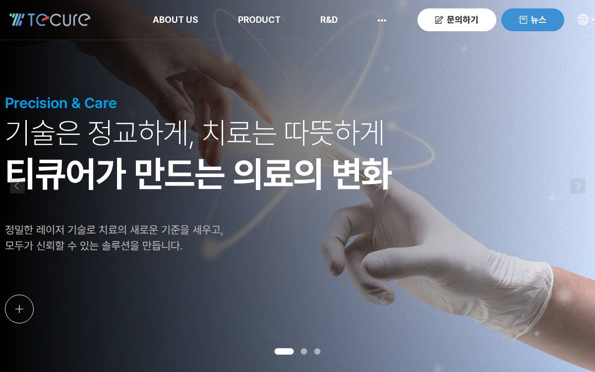 Tecure website preview