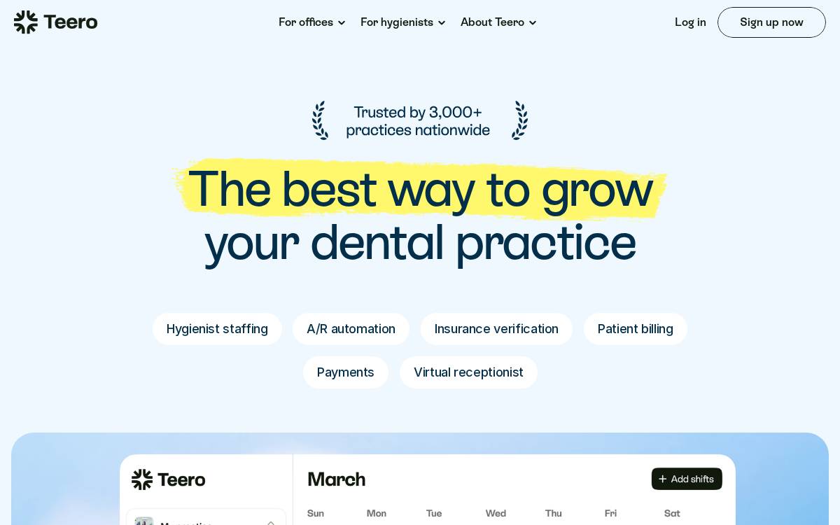 Teero website preview