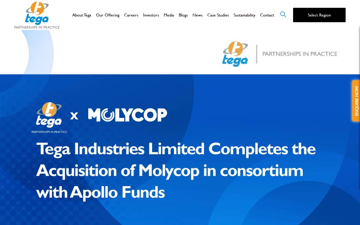 Tega Industries Ltd website preview